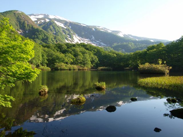 ブナの声　2021斎藤政広写真展　開催します