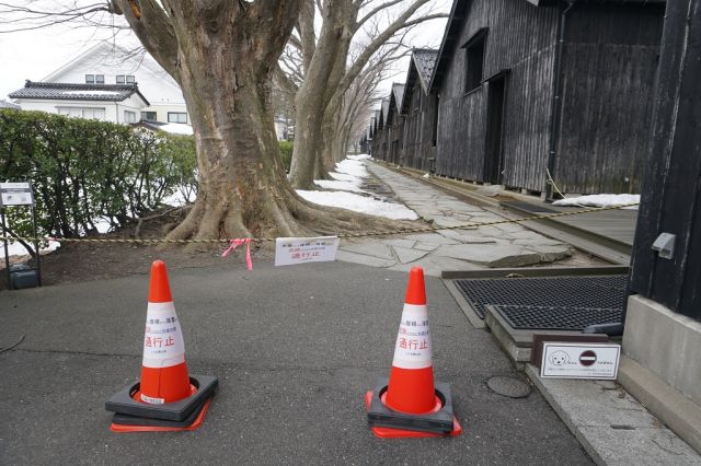 山居倉庫敷地内通行止めと庄内米歴史資料館の休館について(3月1日現在)