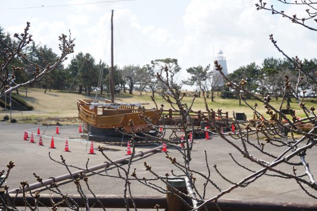日和山公園の桜の様子　(3月28日現在)