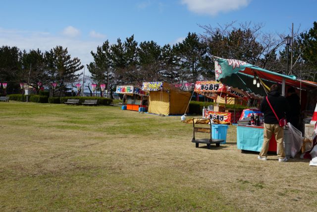 日和山公園の桜の様子（4月8日現在）