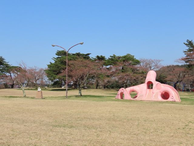 舞鶴公園の桜の様子（4月12日現在）