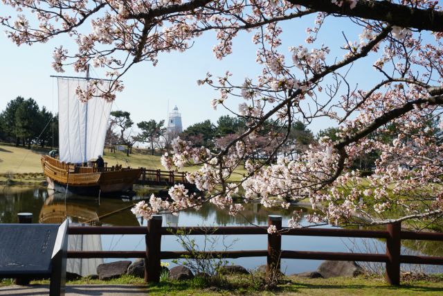 日和山公園の桜の様子(4月3日)