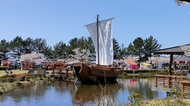 日和山公園の桜の様子(4月10日)