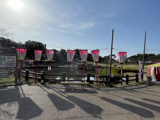 日和山公園桜の様子（4月7日）